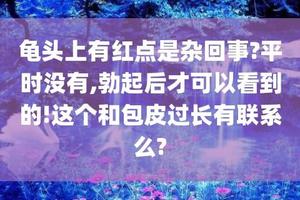 呼和浩特包皮上红点出血(男性包头有红点什么原因)