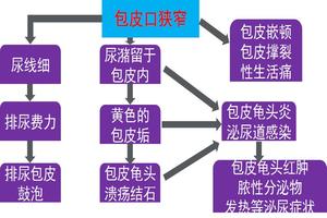 呼和浩特包皮手法扩张图(呼和浩特最好的包皮手术医院)