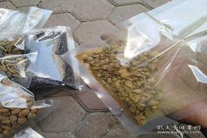 呼和浩特男科医院开的那个中药液有用吧(正规男科医院)